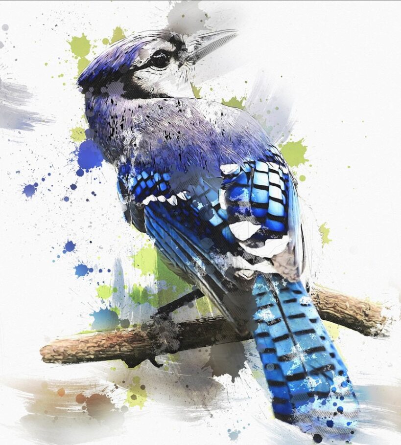 Abstract BlueJay Fabric Panel - BRB-014C