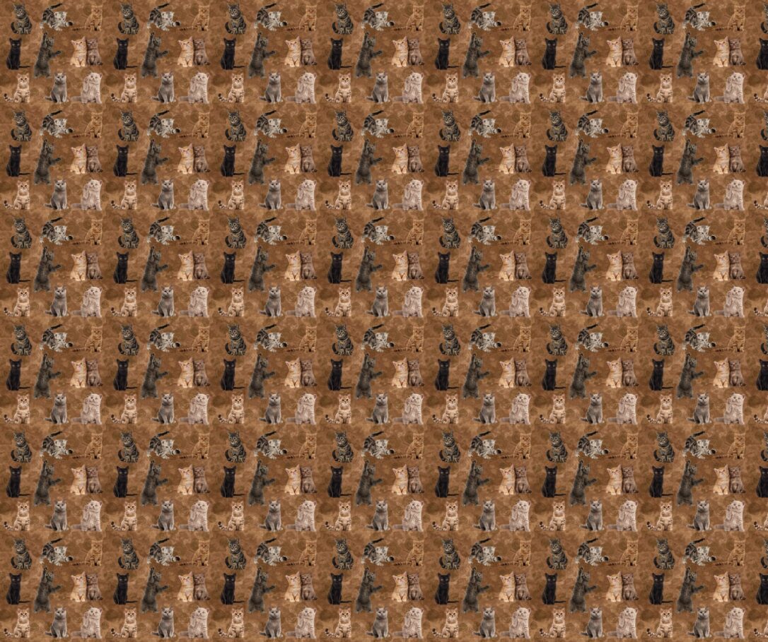 Cats Fabric - FOFY-016 - Focus on Fabric Yardage