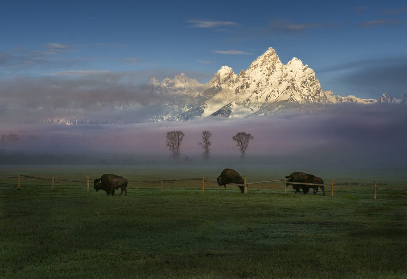 Sunrise in the Grand Teton National Park Fabric Panel - JAP-014C