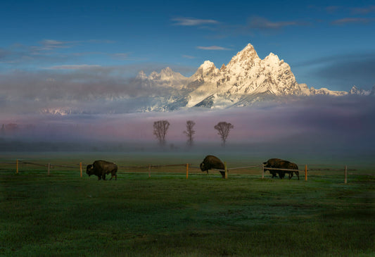 Sunrise in the Grand Teton National Park Fabric Panel - JAP-014C