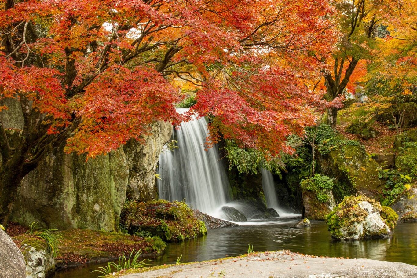Fall Waterfall Fabric Panel - SFC-015C