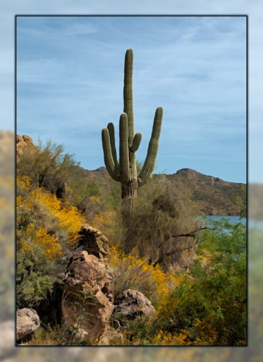 Saguaro Lake Fabric Panel - DCS-013C