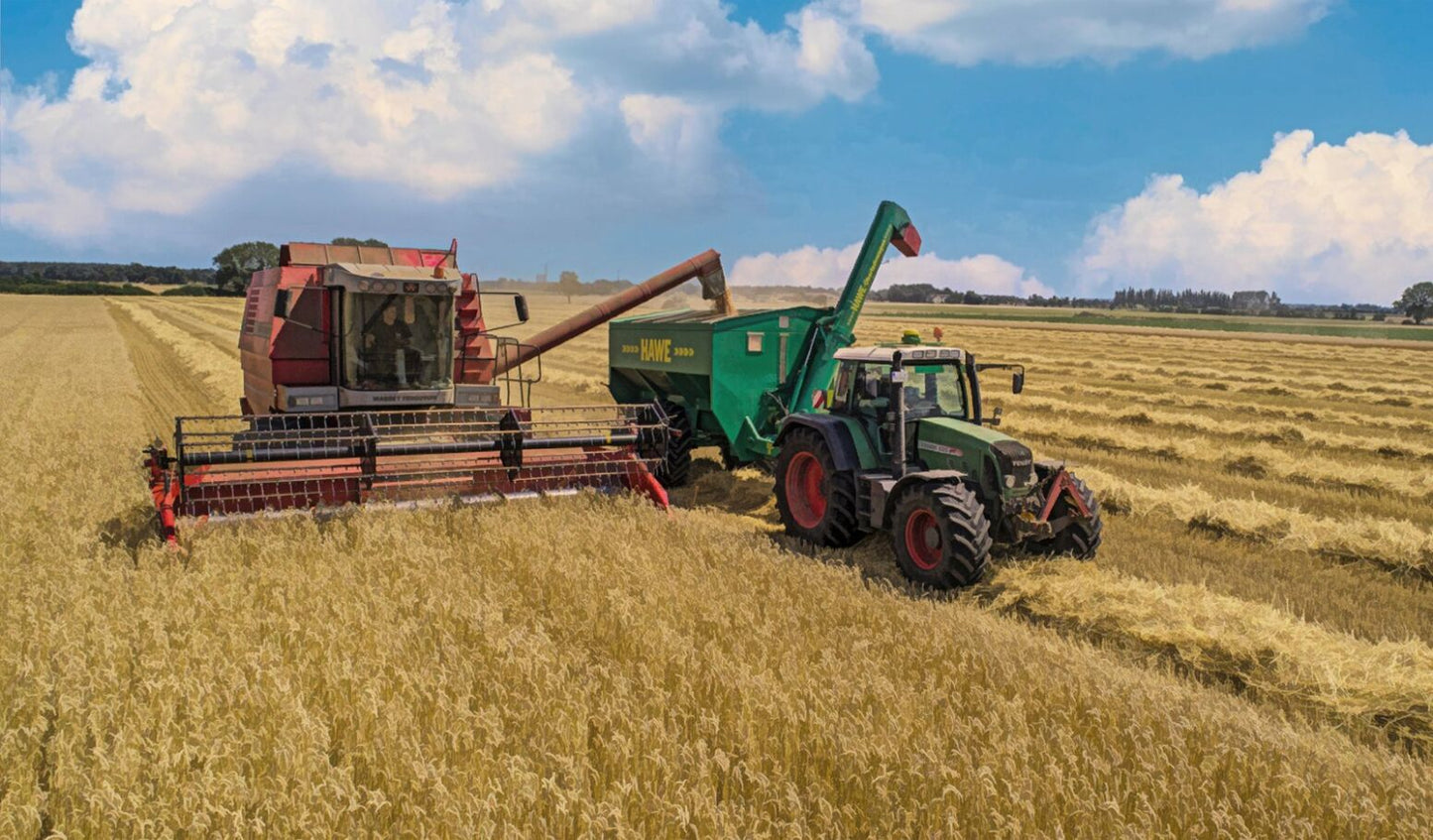 The Harvest Fabric Panel - FAR-002C