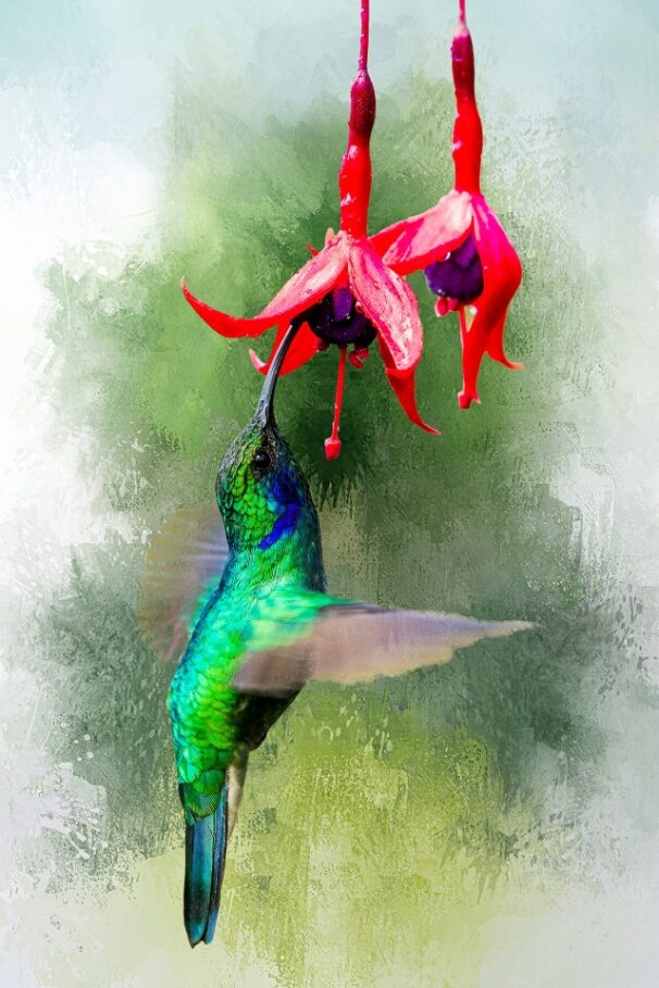 Single Hummingbird Fabric Panel - BHB-003C