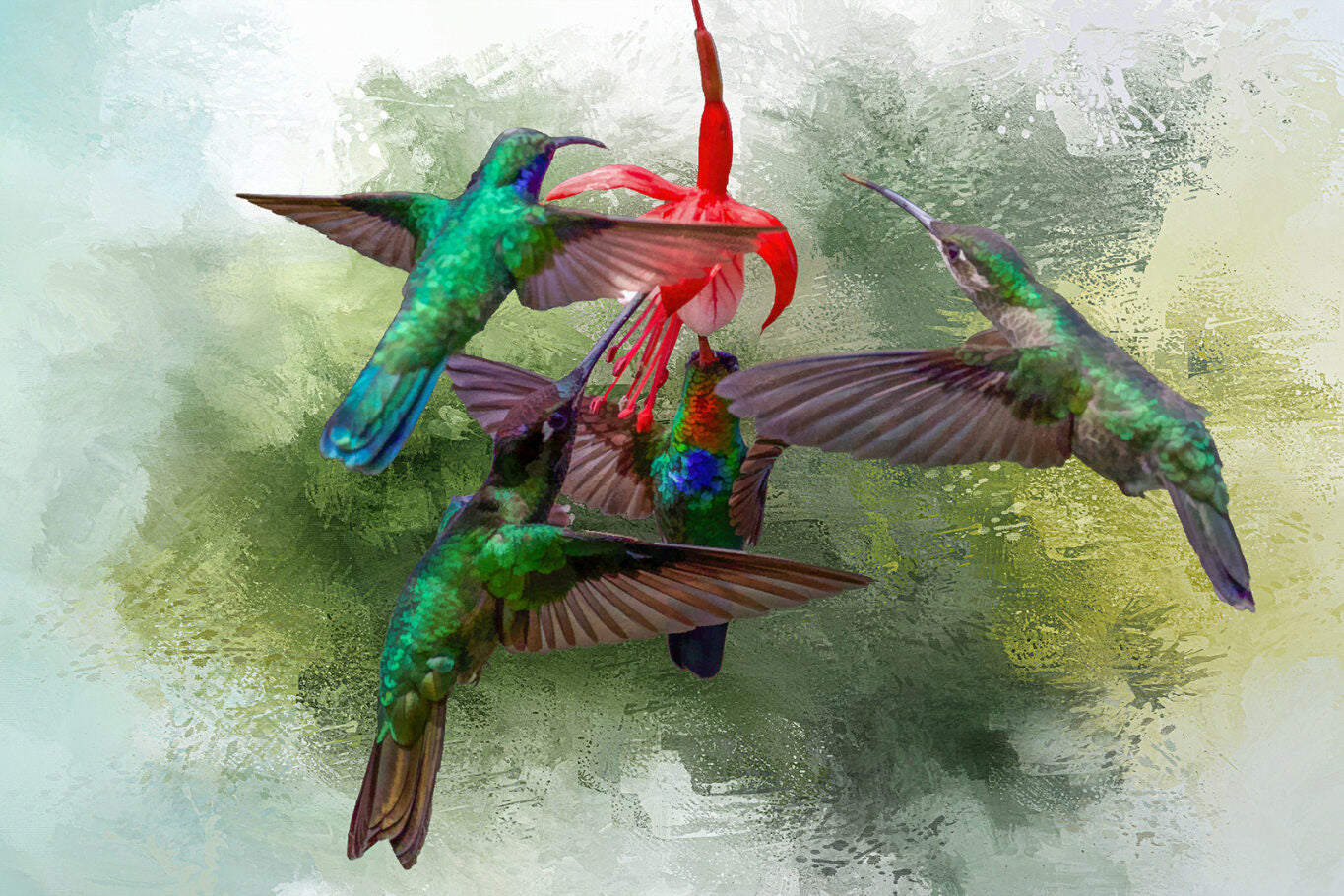 Hummingbird Family Fabric Panel - BHB-004C
