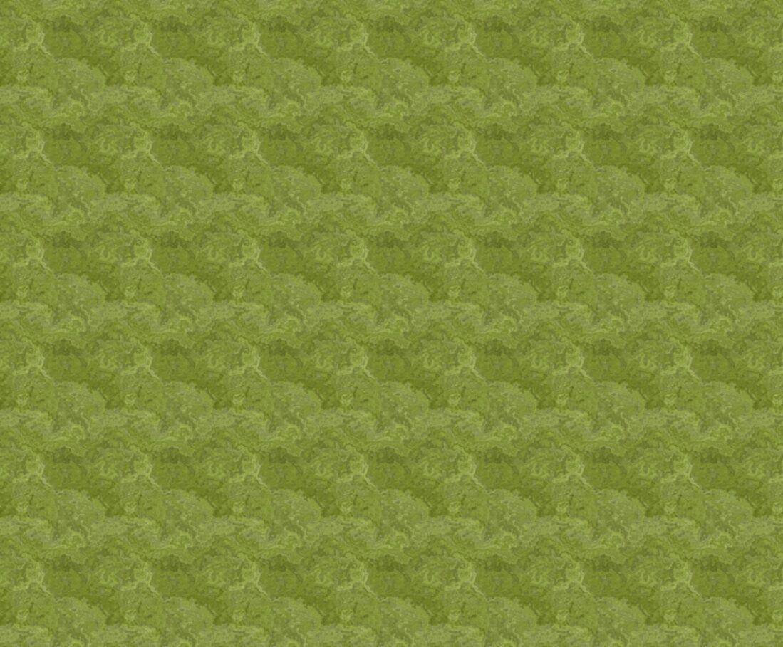 Southwest Green Fabric - FOFY-007 - Focus on Fabric Yardage