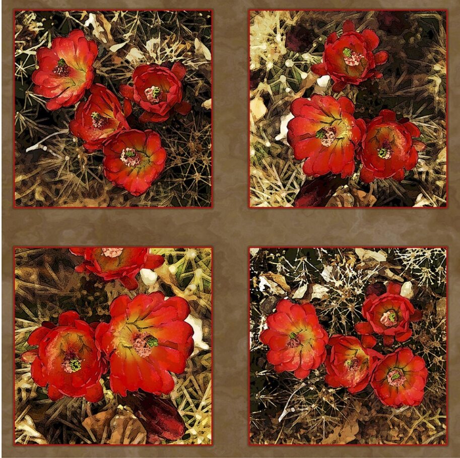 Red Cactus Blooms Fabric Panel - DCS-017C