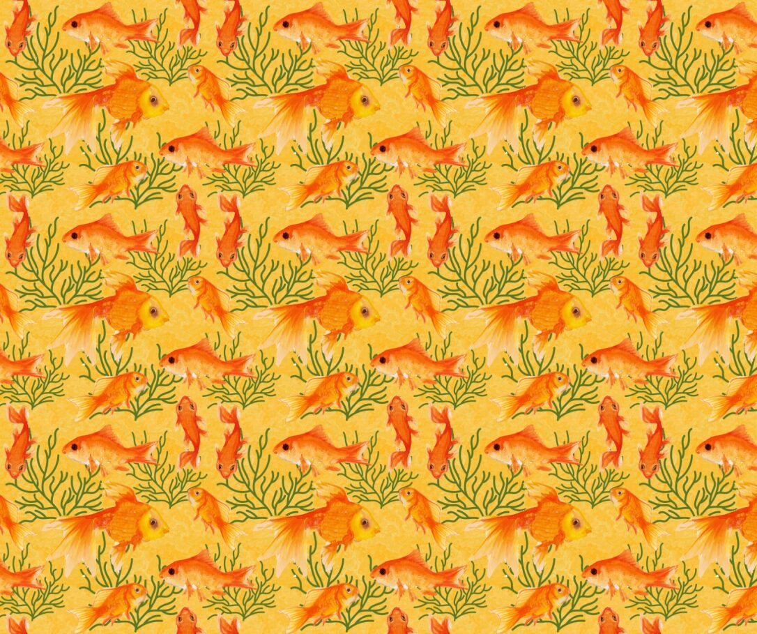 Goldfish Fabric - FOFY-027 - Focus on Fabric Yardage