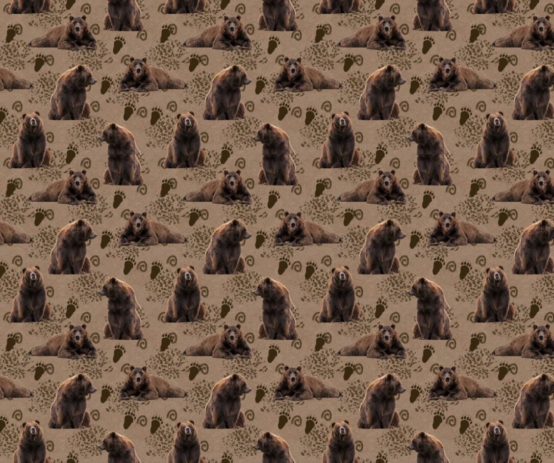 Grizzly Bear Fabric - FOFY-012 - Focus on Fabric Yardage