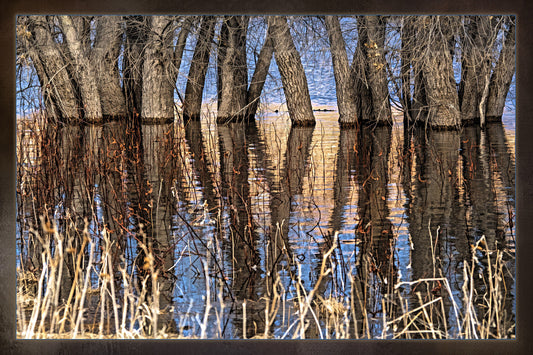Willow Lake Reflection Fabric Panel - SAZ-009C