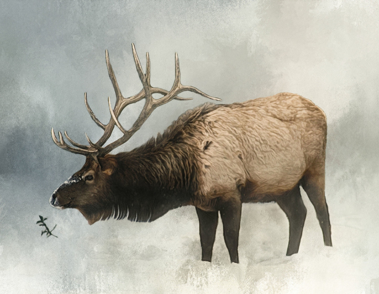 Bull Elk in Winter Fabric Panel - ANW-008C