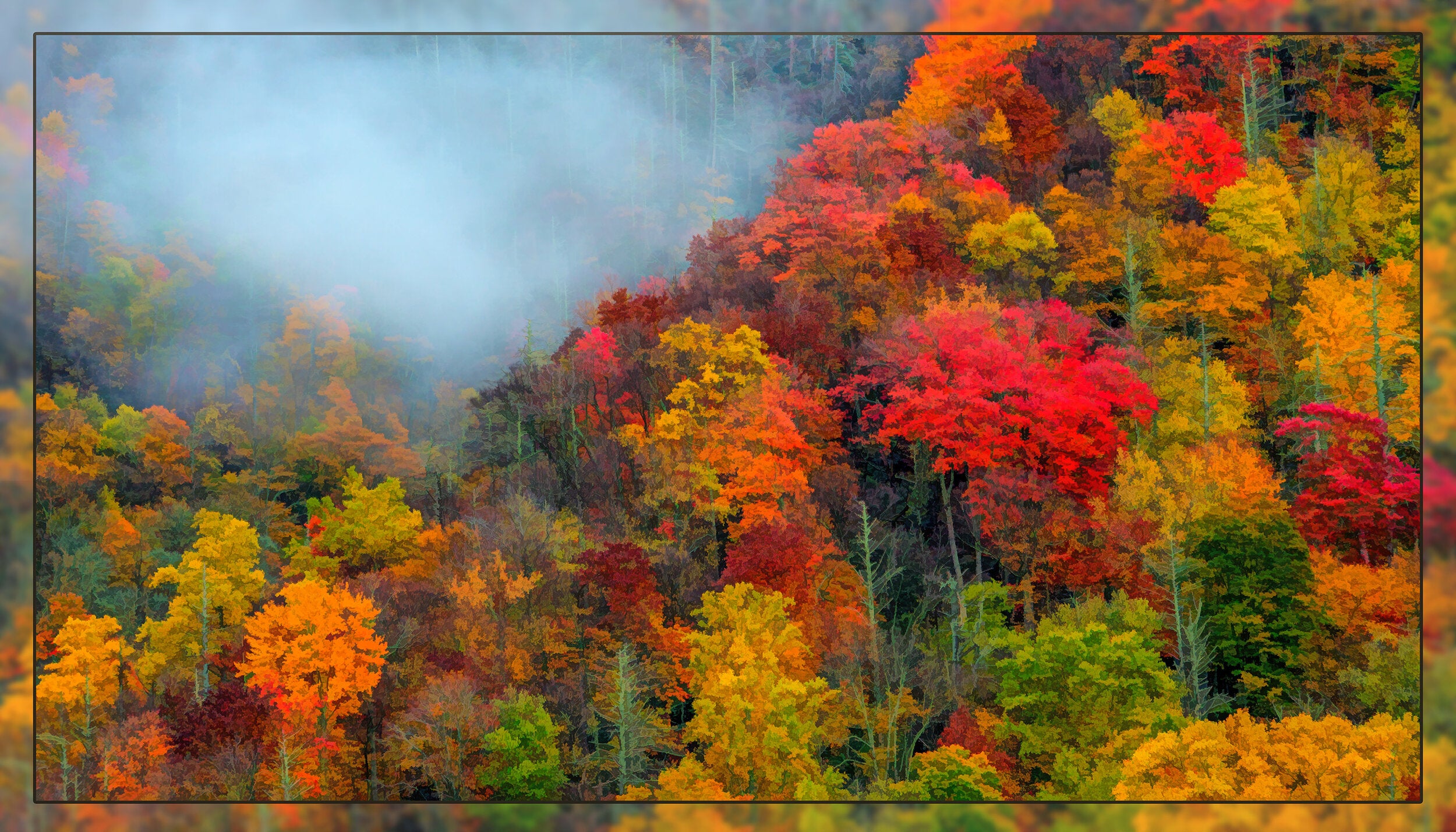 1Q - Fall Color – Focus on Fabric