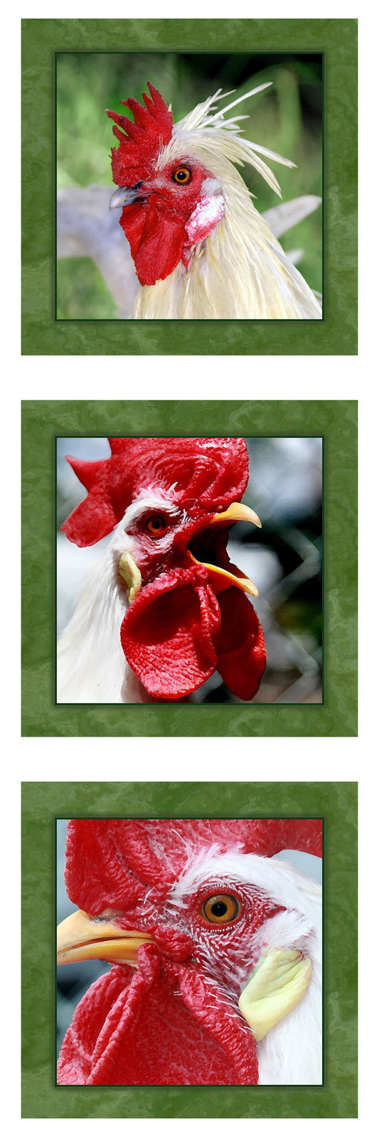 Three White Roosters Fabric Panel - BCR-003