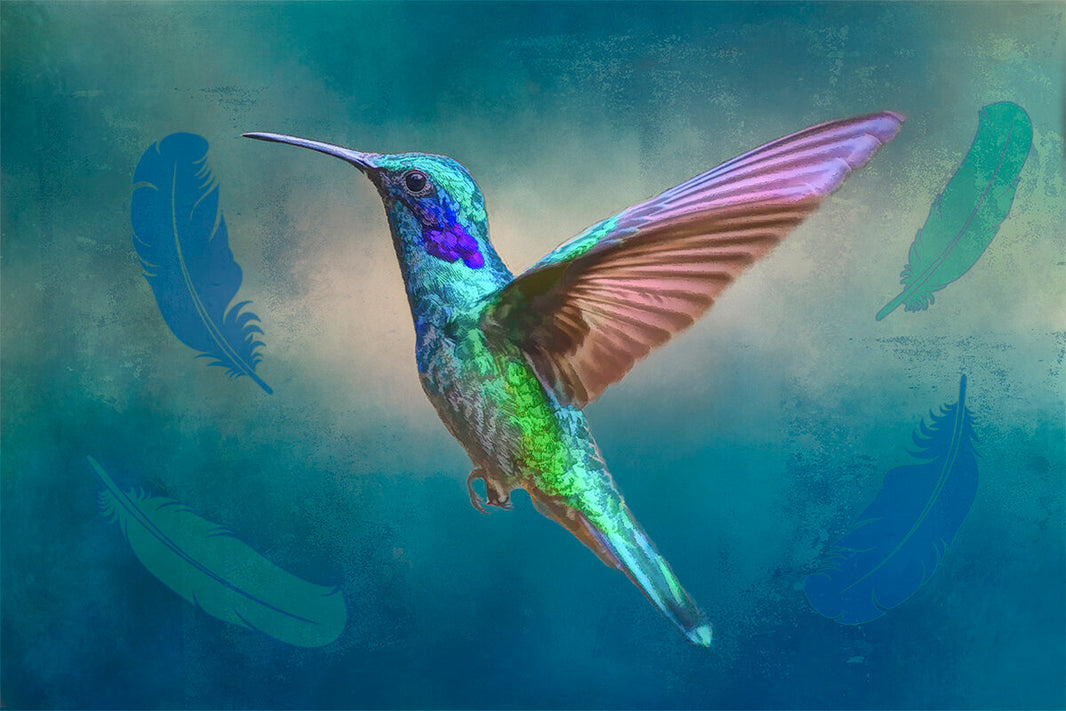 1M - Hummingbirds – Focus on Fabric