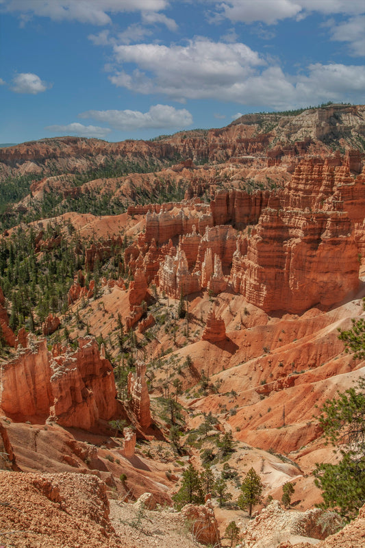 Bryce Canyon National Park Vertical View Fabric Panel - NPU-006