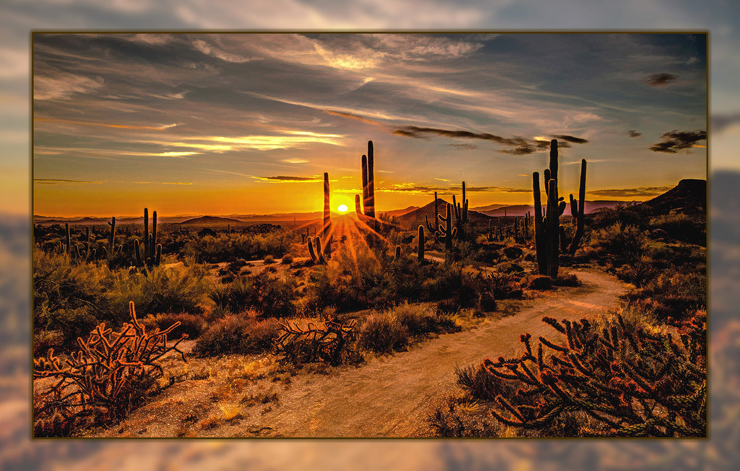 Multiple Saguaro Sunset Fabric Panel - DCS-009