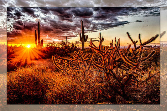 Cactus Sunset Fabric Panel - DCS-006