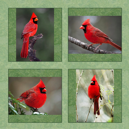 Four Red Cardinals Fabric Panel - BRB-002