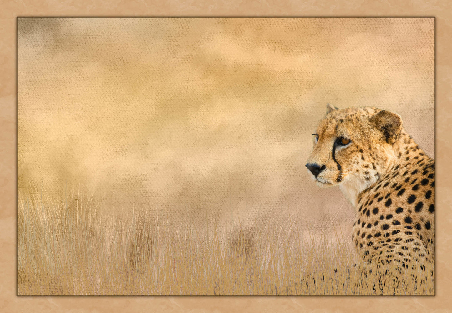 Cheetah Fabric Panel - AWC-002C