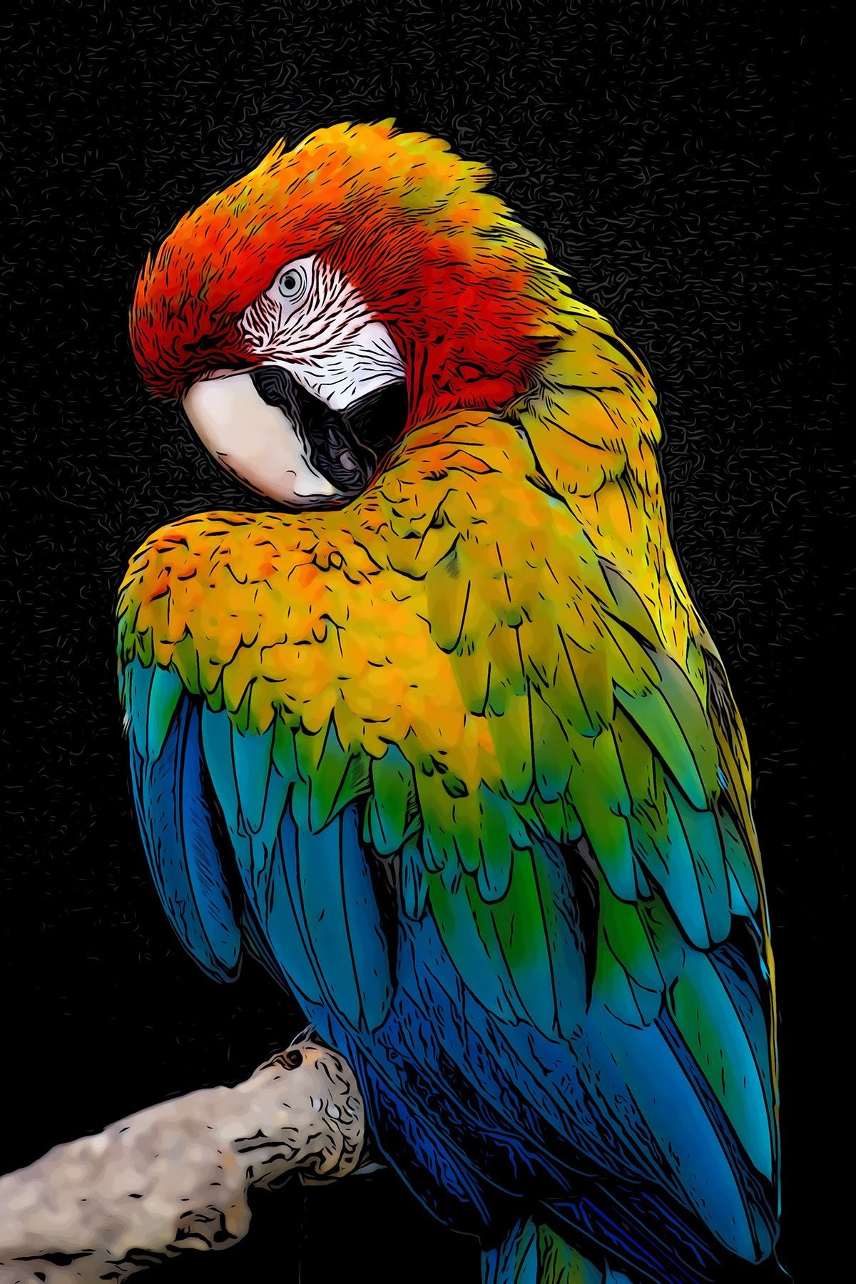Colorful Parrot Fabric Panel - BPT-004C