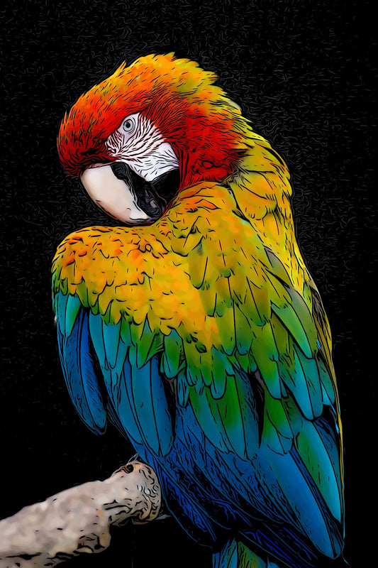 Colorful Parrot Fabric Panel - BPT-004