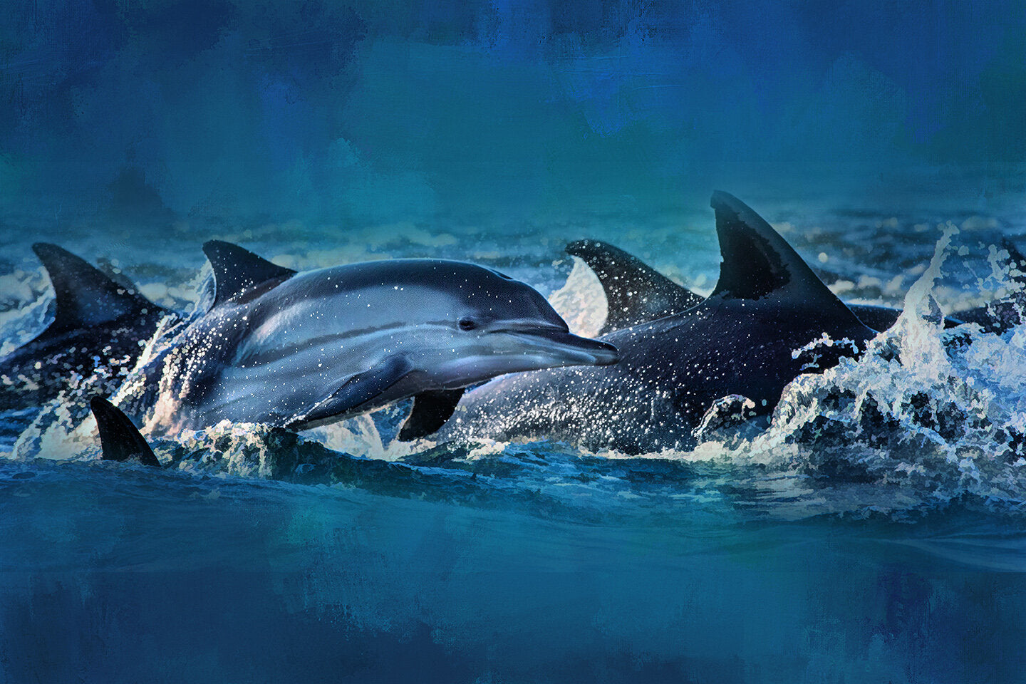 Dolphins Fabric Panel - OCE-004