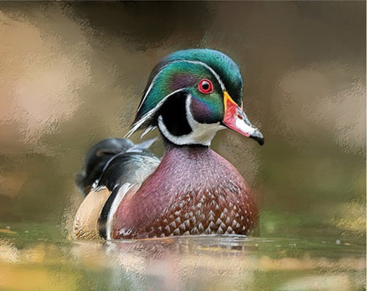 Abstract Wood Duck Fabric Panel - BBG-012C