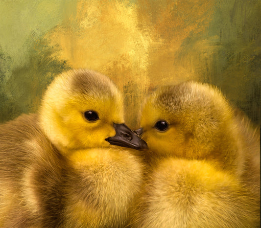Two Baby Ducks Equal Cuteness Fabric Panel - BBG-001