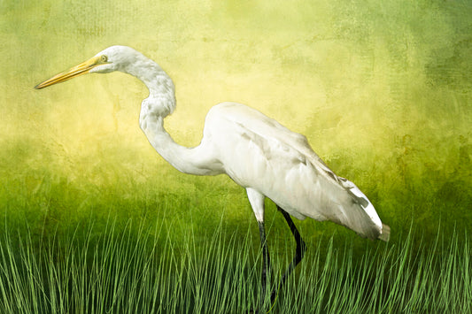 Silent Stalker Snowy Egret Fabric Panel - BSB-002