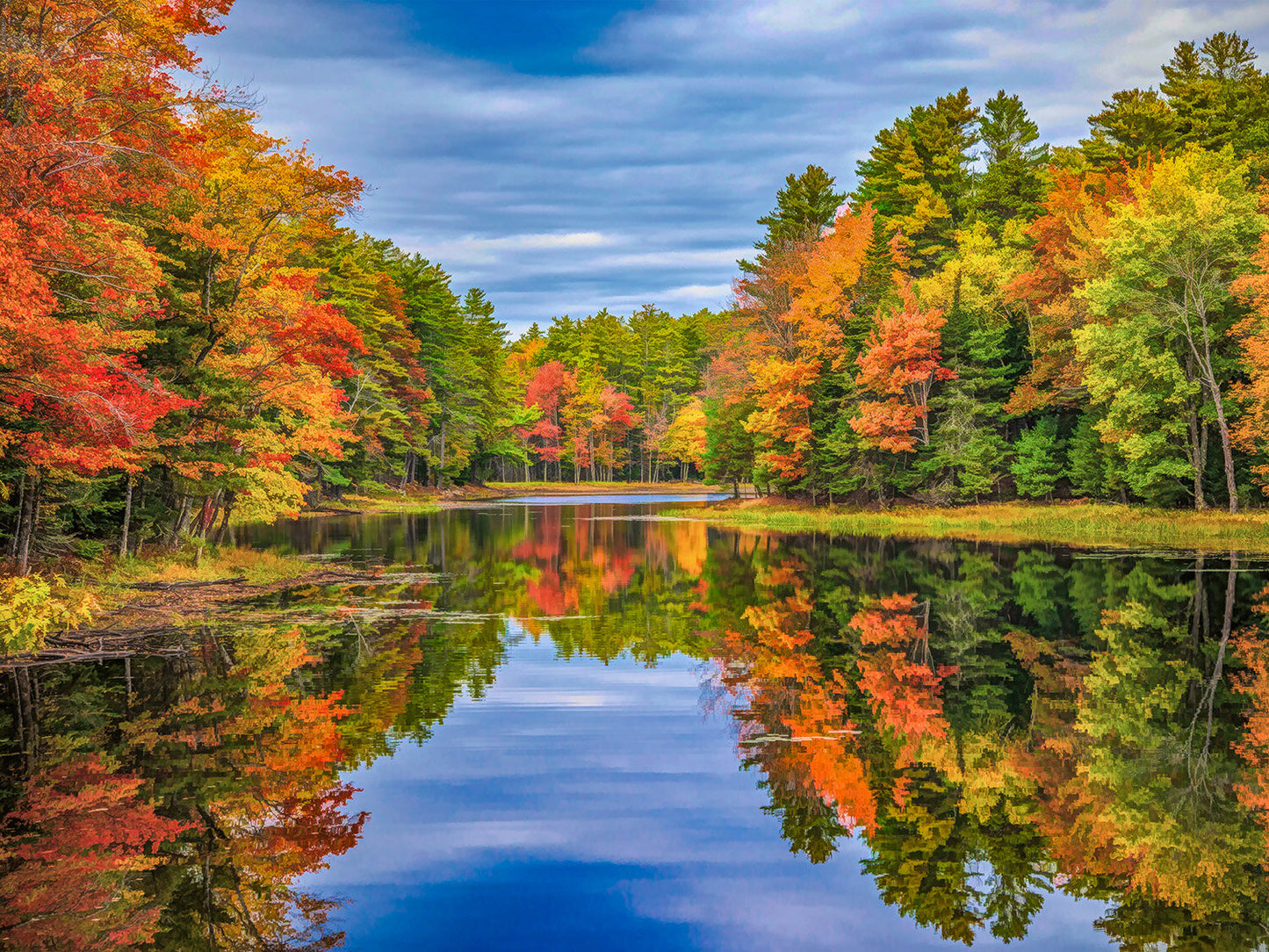 Fall Color Reflection Fabric Panel - SFC-013C