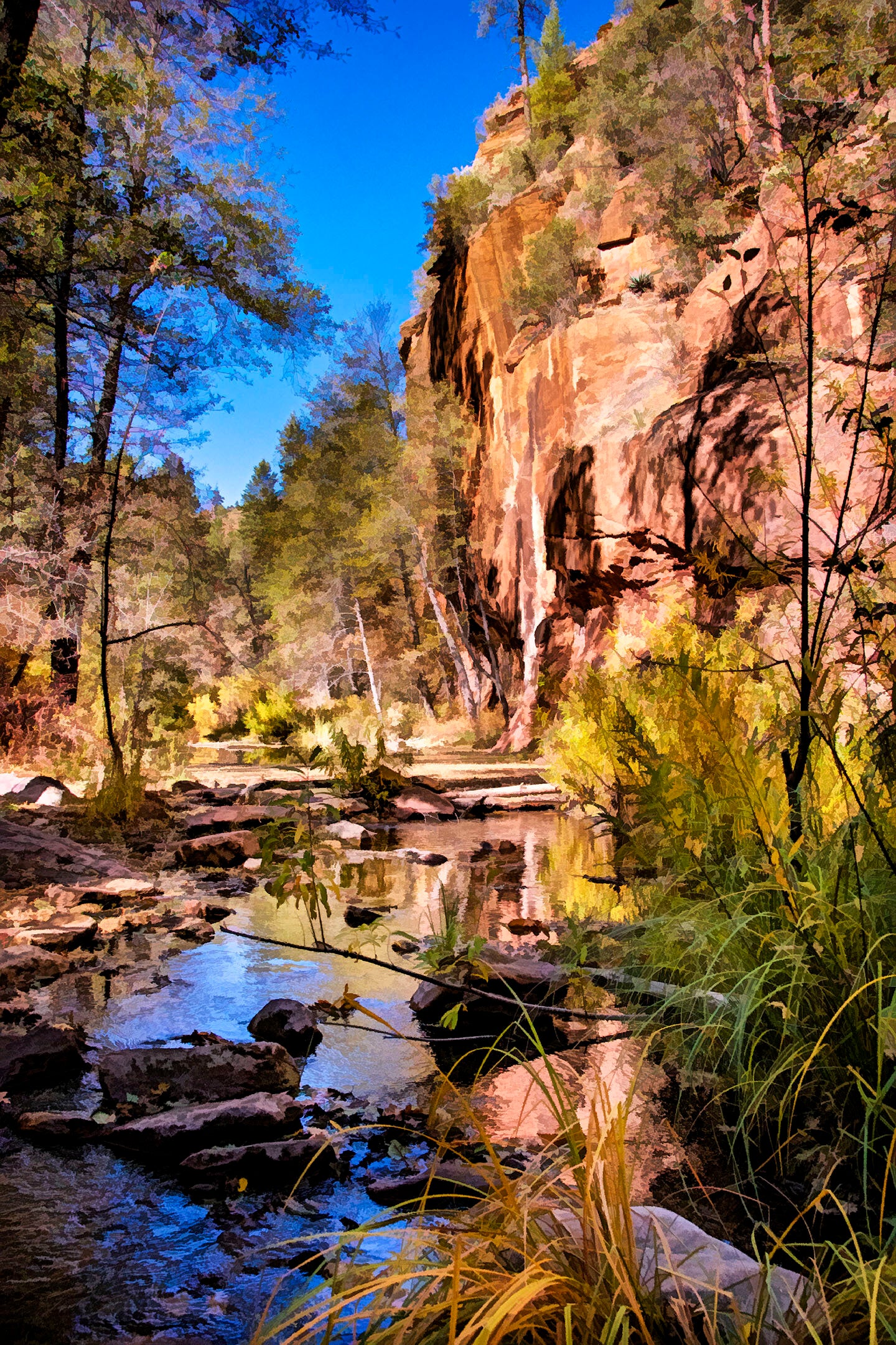 Fall in Oak Creek Canyon Fabric Panel - SAZ-004