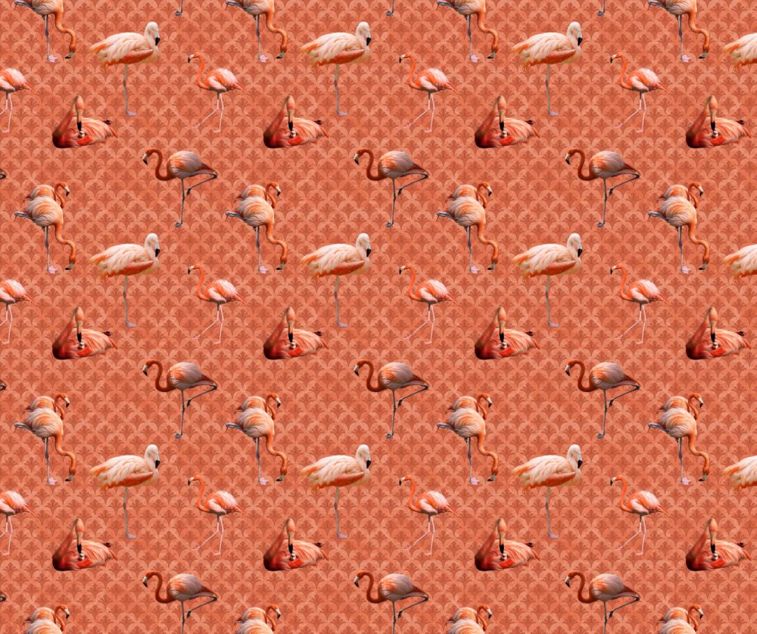 Pink Flamingo Fabric - FOFY-018 - Focus on Fabric Yardage