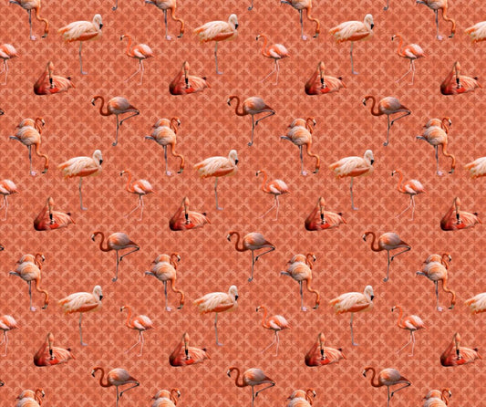 Pink Flamingo Fabric - FOFY-018 - Focus on Fabric Yardage