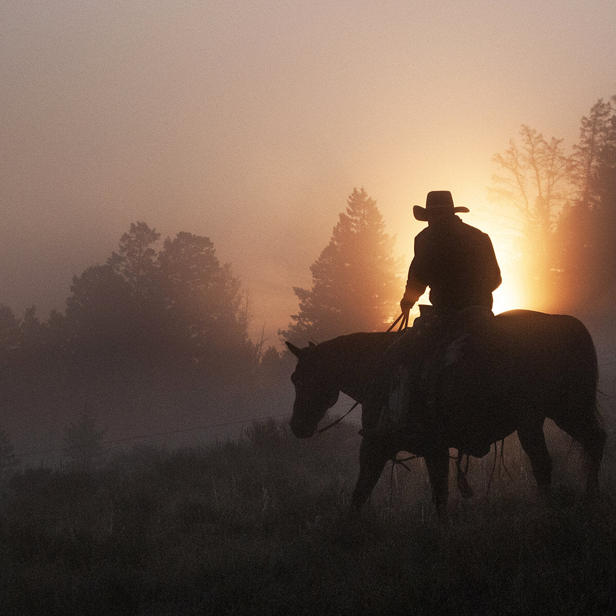 Foggy Morning Cowboy Silhouette Fabric Panel - CBY-004