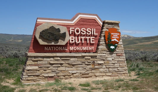 Fossil Butte Park Entrance Fabric Panel - NPW-011