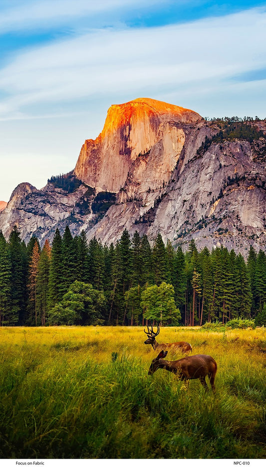Yosemite Valley and Half Dome Fabric Panel - NPC-010C