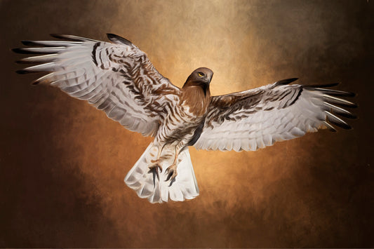 Majestic Hawk in Flight Fabric Panel - BBP-004