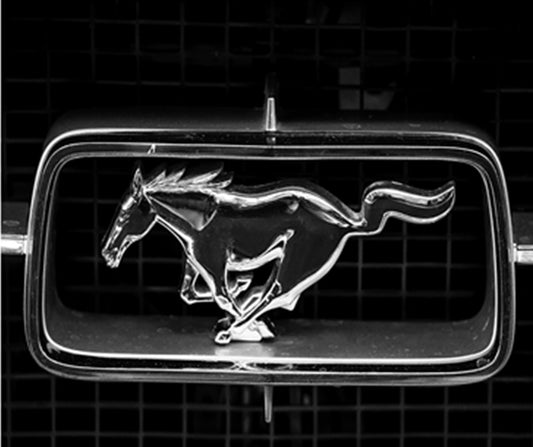 Mustang Emblem Fabric Panel - TVC-028C