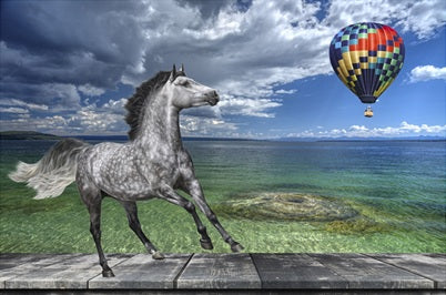 Fun Size Horse and Hot Air Balloon Fabric Panel - FUN-005