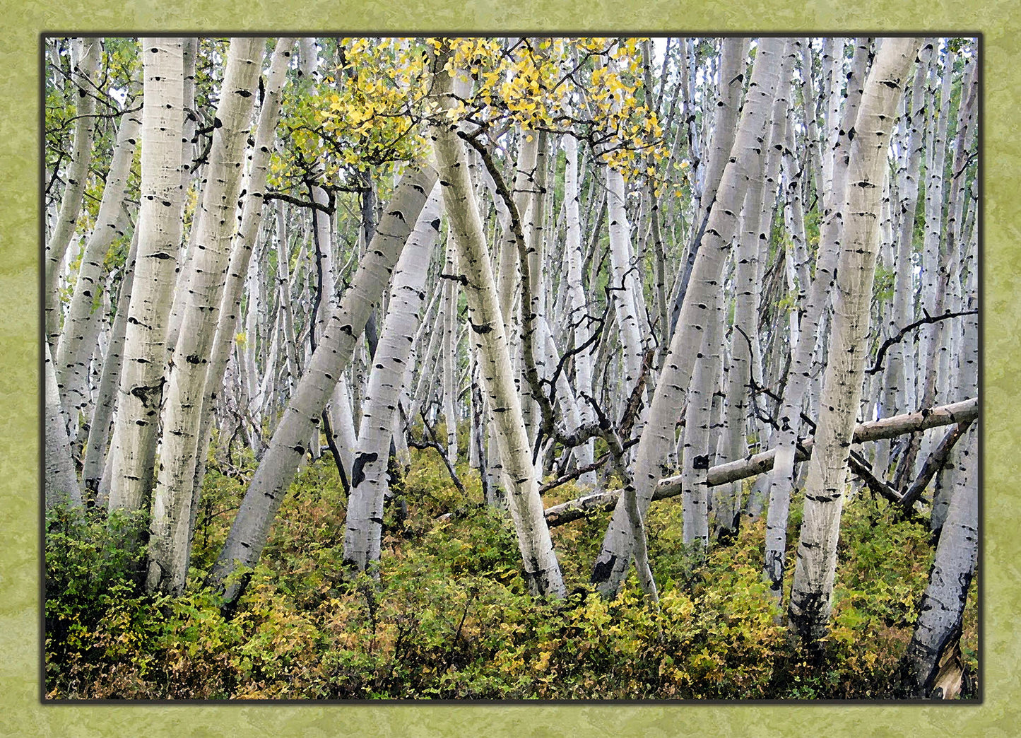 Single Leaning Aspen/Birch Fabric Panel - SFC-003