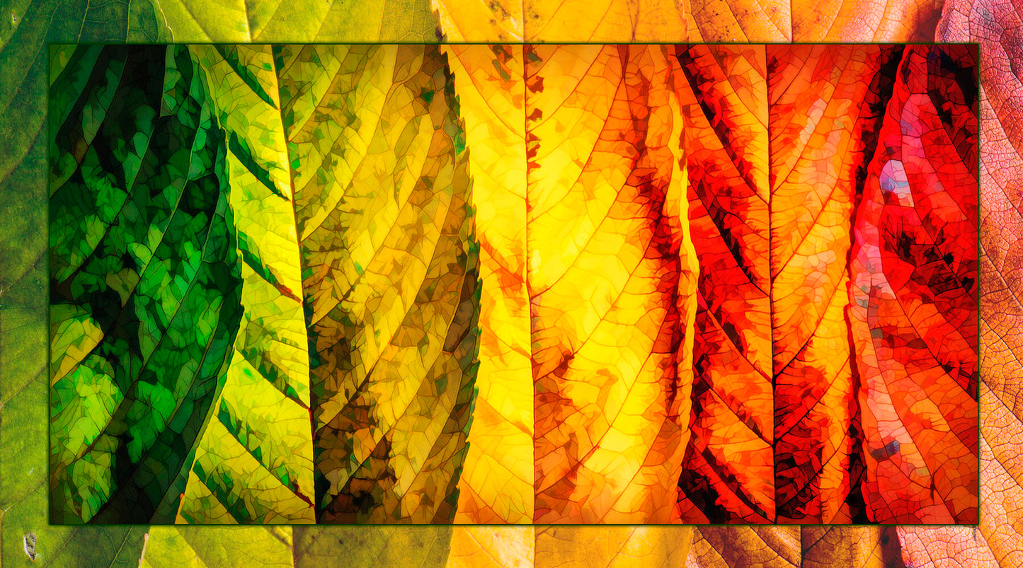 Leaves Up Close Fabric Panel - SFC-011