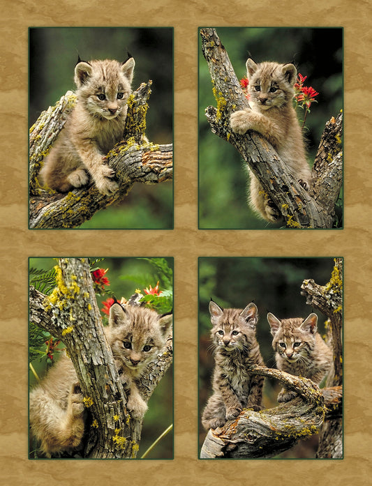 Very Young Big Cats Fabric Panel - AWC-008