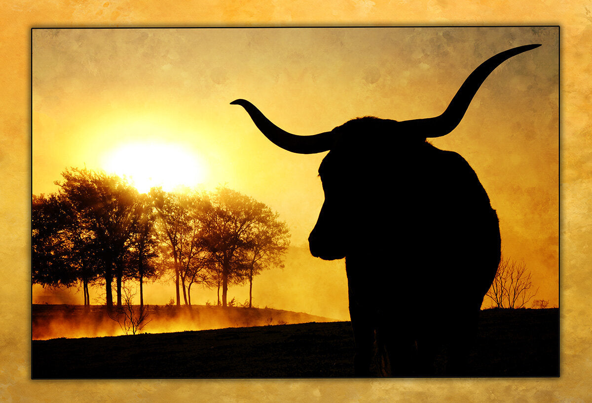 Longhorn Sunset Fabric Panel - ACW-009C