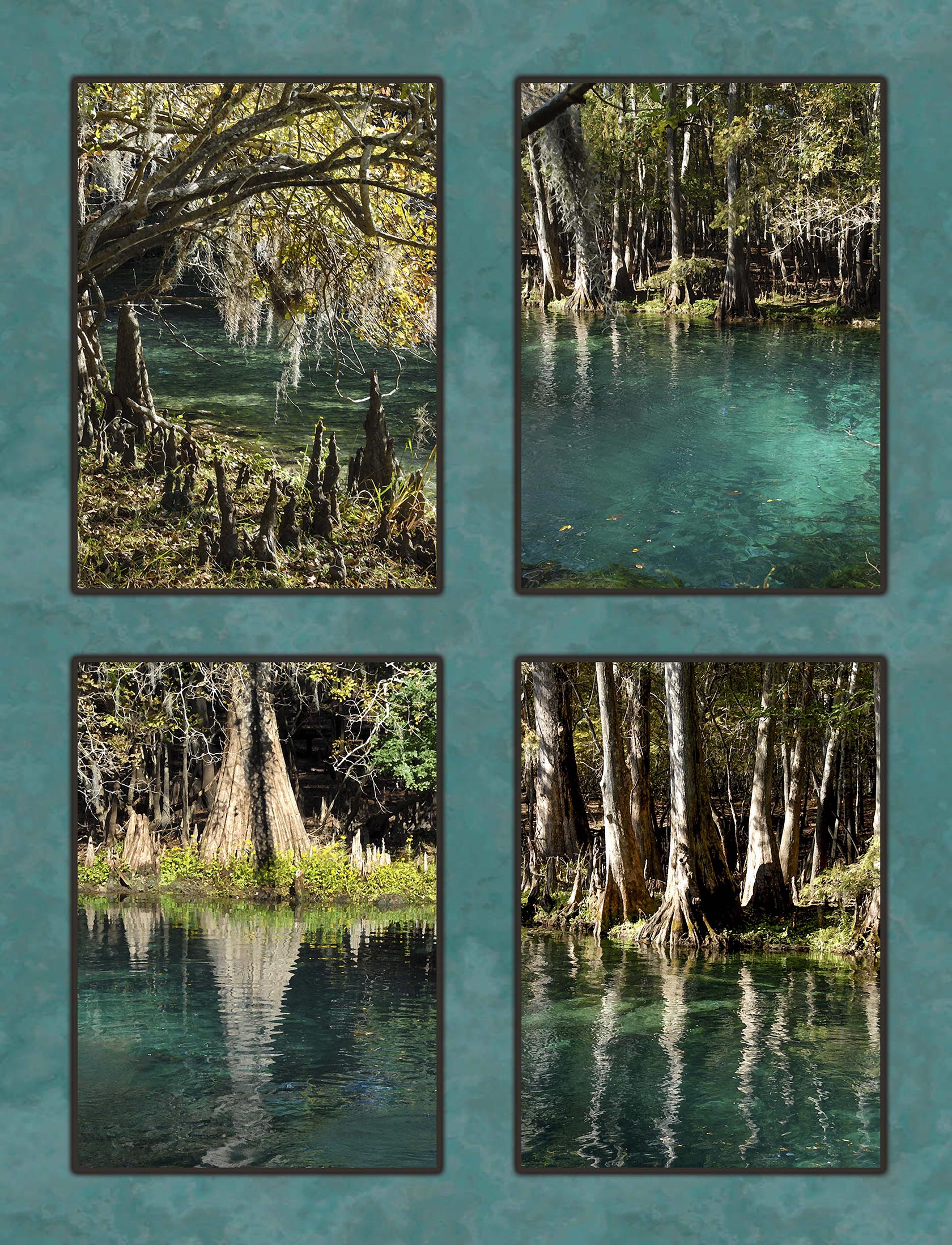 Florida Manatee Springs Fabric Panel - SSE-011C – Focus on Fabric
