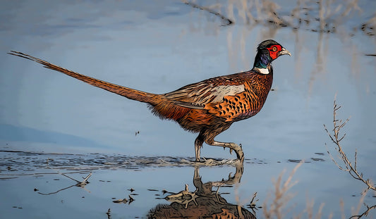 Illustrated Pheasant Fabric Panel - BBG-008C