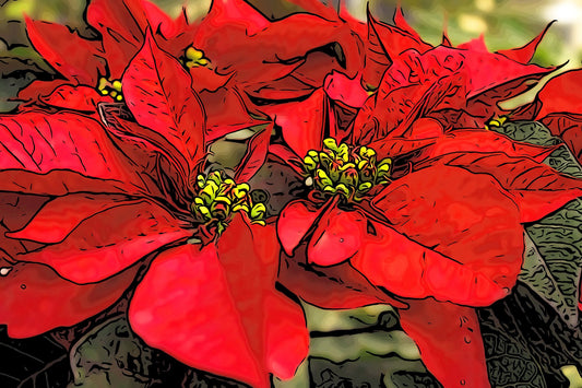 Poinsettia Fabric Panel - HOL-001C