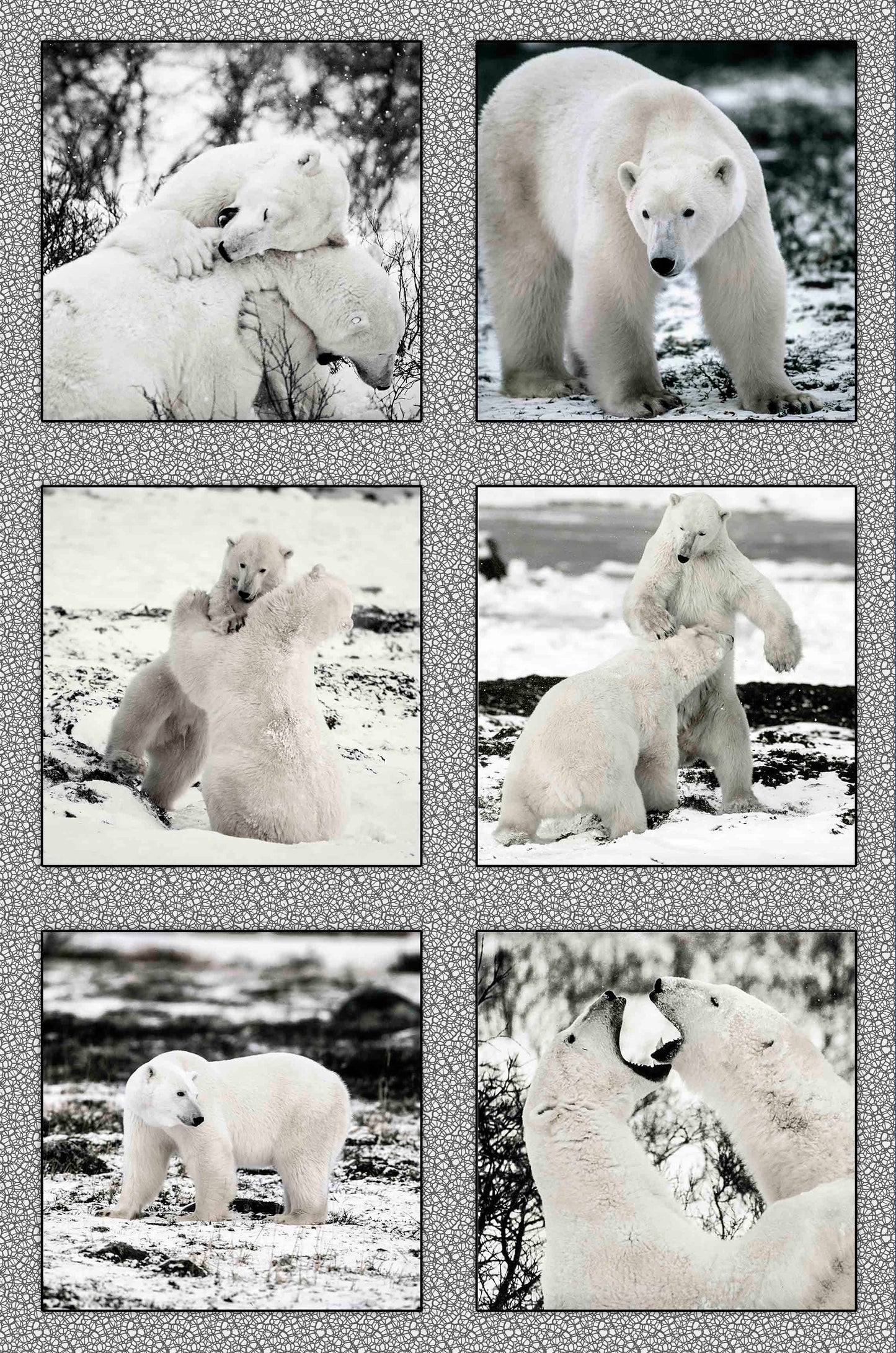 Polar Bears Fabric Panel - ANW-050