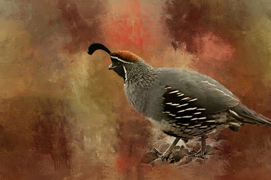 Gambel Quail on the Lookout Fabric Panel - BBG-007