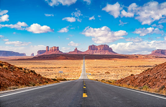 The Road to Monument Valley Fabric Panel - SAZ-017C