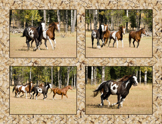Four Block Running Paint Horses Fabric Panel - AHS-015